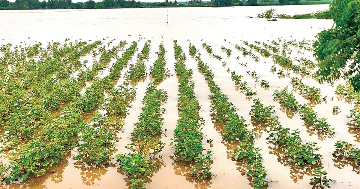 The New Indian Express - Business - News Image