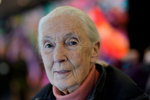 Renowned British primatologist Jane Goodall dies at 91