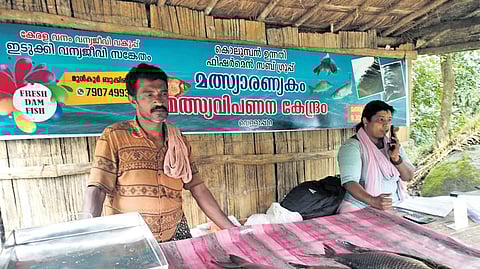 Tribal residents of Kolumban colony sell fish caught from the Idukki reservoir