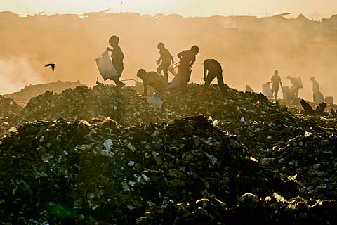 War pushes Gaza's environment to 
full-scale collapse 