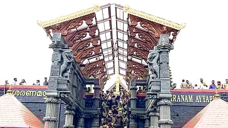 The plea says the judiciary should only intervene in religious practices if those directly violate public order or on the grounds of morality and health.