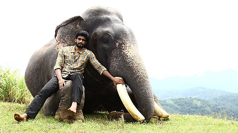 Prabu Solomon's Kumki 2 gets a release date