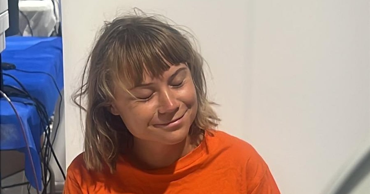 Greta Thunberg 'dragged by hair, forced to wear Israeli flag', say activists