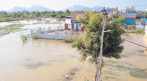 Asif Nagar in Krishnagiri flooded after rain lashed the district on Sunday.