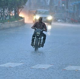 Thunderstorms to persist across Andhra over next few days