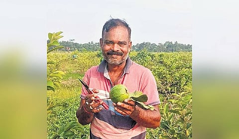 Sangram Mantri at his farm