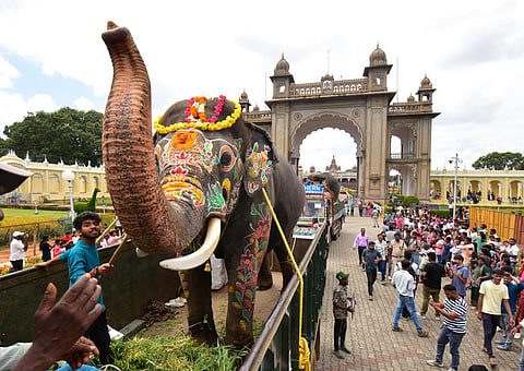 As per the annual tradition, Dasara elephants bidding adieu to Mysuru 