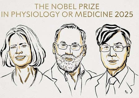 US, Japanese scientists awarded 2025 Nobel Prize for Medicine for discovery on immune system