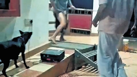 A grab from video clip showing the dog attacking the artist in Kannur