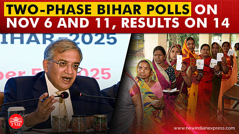 Image of AAP logo used for representational purposes only.