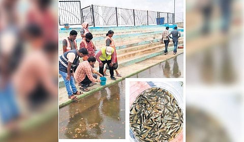 Image used for representational purposes only. 