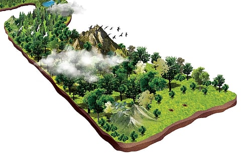 The prime minister had approved the 32-km railway line, bypassing Balukhand reserve forest and the eco-sensitive zone last year.