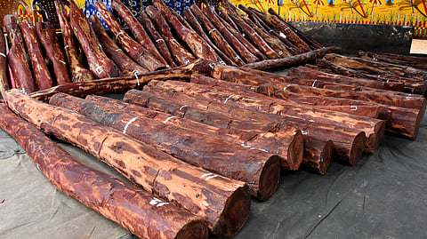 Task force officers seized redsander logs in Tirupati on Thursday.