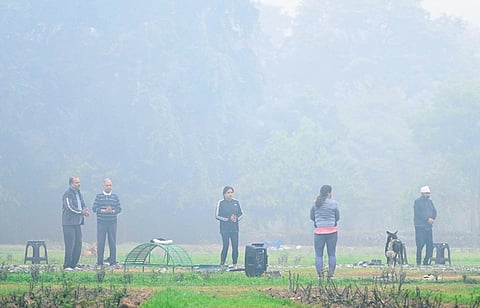 Thick layer of smog over the Lodhi Garden on November 18, 2024 in New Delhi. 
