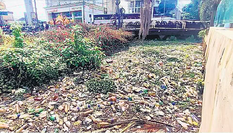Waste accumulated in the Thevara-Perandoor canal at Kaloor 