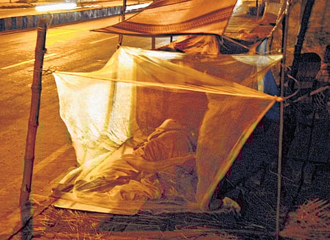 The report follows a survey of 212 individuals and 256 families living in streets in 18 locations in the Chennai. 