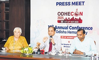 Professor RK Jena speaking at the pre-conference workshop