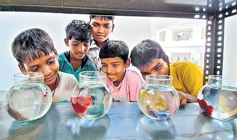 The modern market complex, spread over 15,945 sq m, with a built-up area of 11,650 sq m, includes 185 wholesale and retail outlets, a laboratory, a training hall, a food court and a viewing gallery 