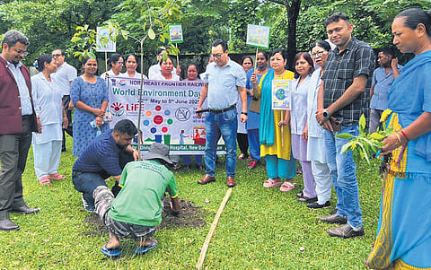 From personal loss to green legacy: How one man’s trees are changing Assam’s landscape