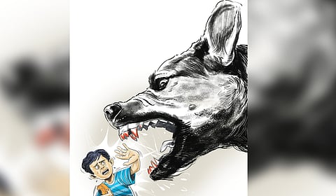 The victim, Aaradhya Umesh Targar (one year and ten months old), was playing outside her house when the stray dog lunged at her.
