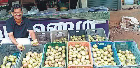 A fruitseller with the Olor mangoes at Aroor in Kozhikode