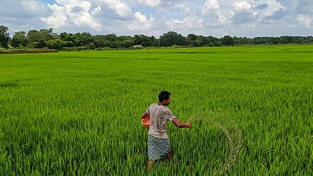 Image used for representative purpose.