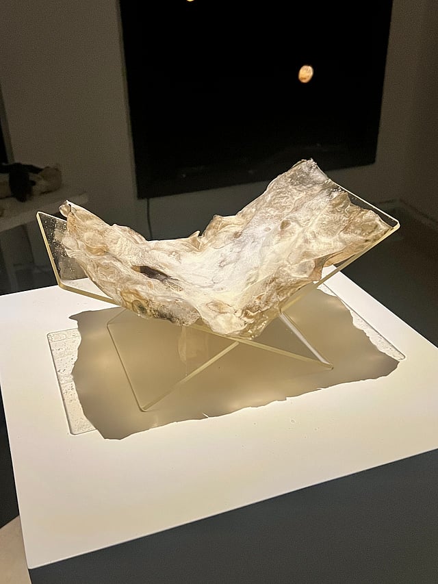 'Living Text' by artist MycoDyke