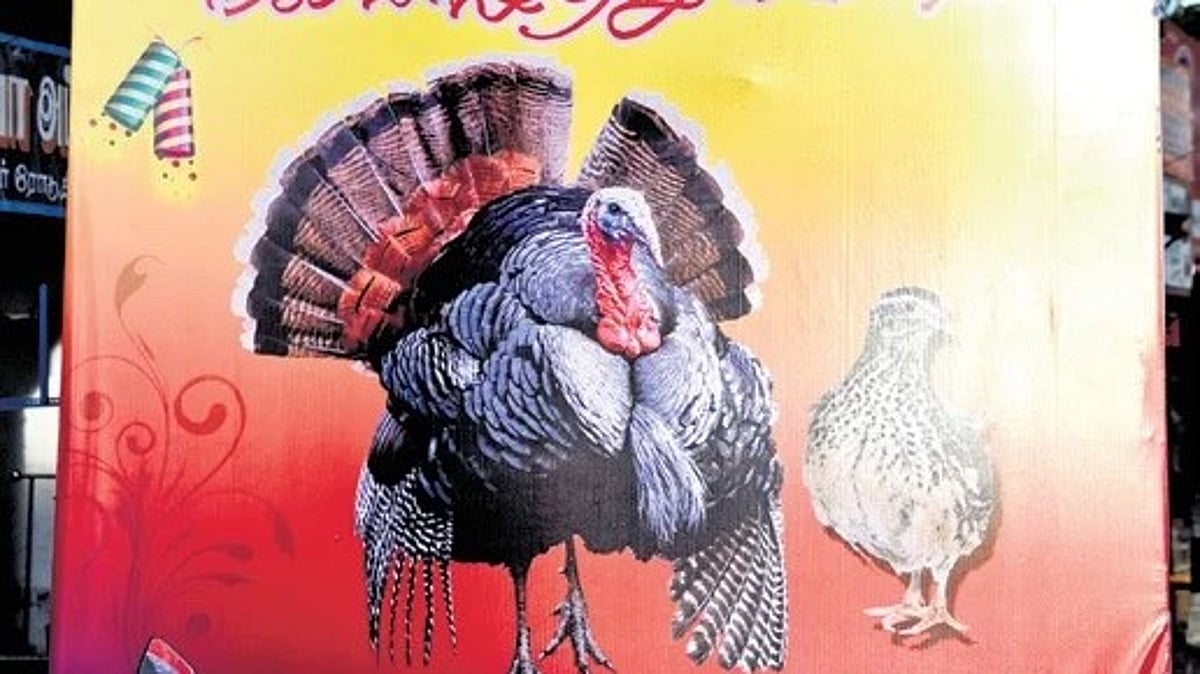 The New Indian Express - Entertainment - News Image