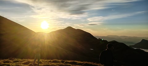 Trippin’ with tiger whiskers 