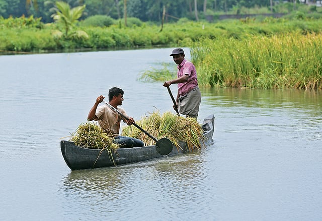 Ezhikkara hold immense potential for farm-and-food tourism
