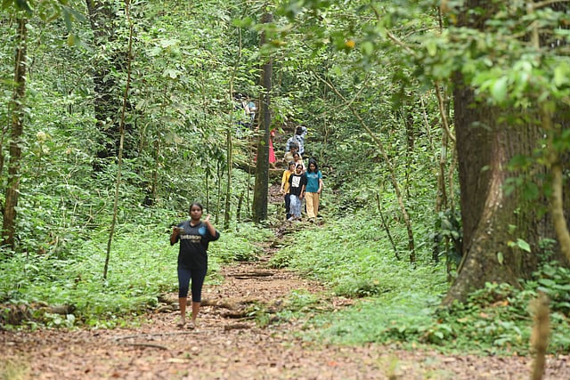 A family visits the eco tourism centre