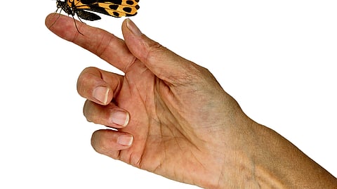 Freedom from the inner prison