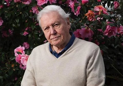 Sir David Attenborough 