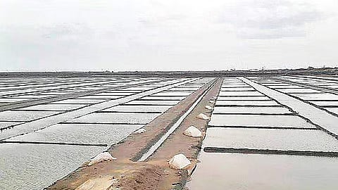During the northeast monsoon season from October to December, production at salt pans across the state would be halted due to the rains, leaving the workers with no job