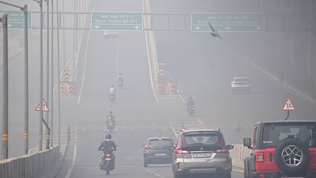 Delhi’s air pollution 