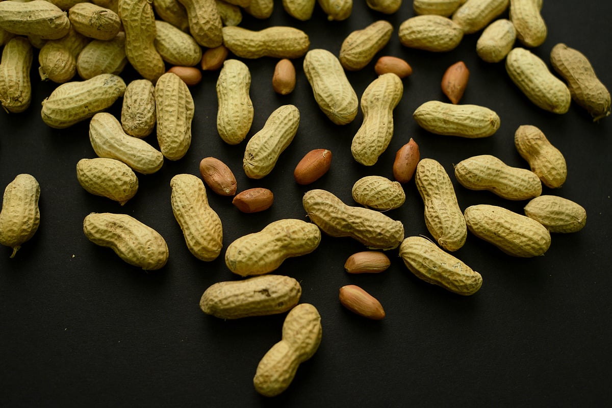 Advice to feed babies peanuts early and often helped thousands of kids avoid allergies