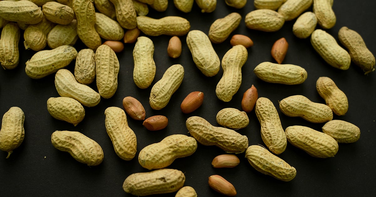 Advice to feed babies peanuts early and often helped thousands of kids avoid allergies Advice to feed babies peanuts early and often helped thousands of kids avoid allergies