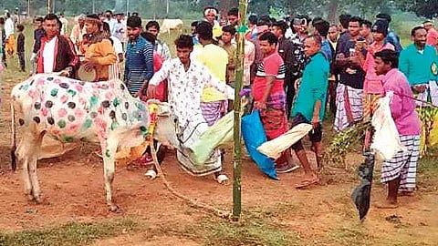 Image used for representative purposes only.