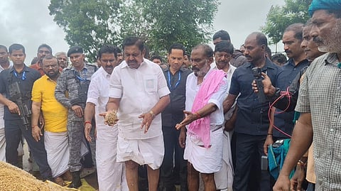 AIADMK general secretary Edappadi K Palaniswami  inspecting the paddy kept in the open by the farmers outside the DPCs in Thanjavur and Tiruvarur districts.