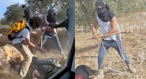Salah Abu Ali, 52, official guardian of Palestinians alleged oldest olive tree, between 3000 and 5000 years old, prays under it in Al-Walajah, occupied West Bank on November 4, 2025.