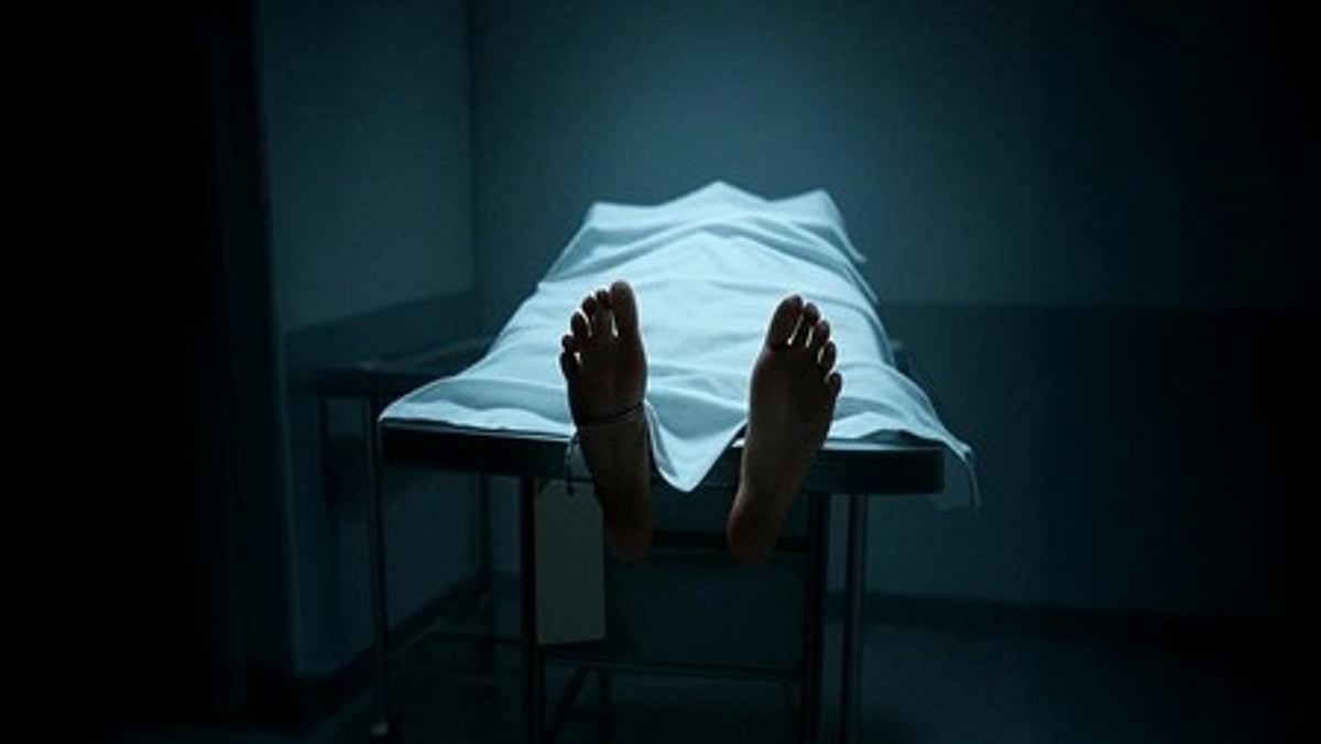 The New Indian Express - Entertainment - News Image