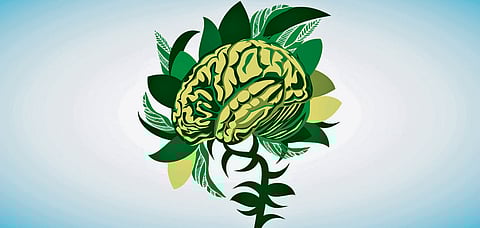 Happiness, the Ayurvedic way