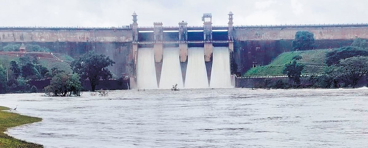 The New Indian Express - Other - News Image