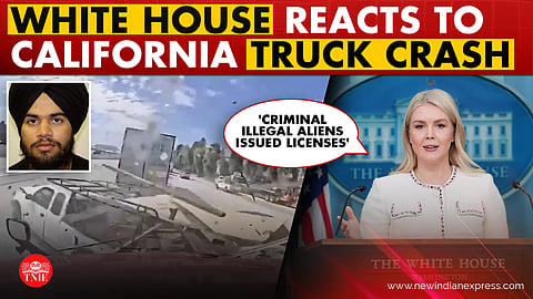 White House Flags 'Serious Gaps' after California road crash: 'Criminal aliens issued licenses'