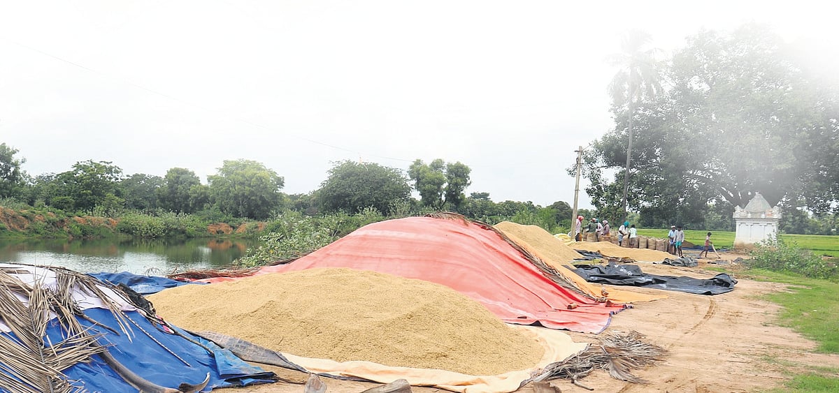 The New Indian Express - Politics - News Image