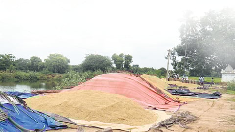 Deputy Chief Minister Udhayanidhi Stalin and opposition leader Edappadi K Palaniswami trade barbs, farmers remain a worried lot.