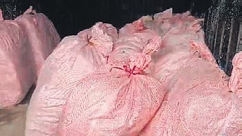 Odisha police seize 770 kg ganja, three held