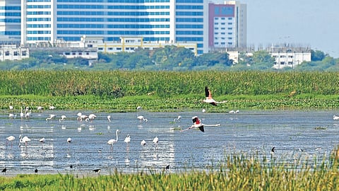 Image used for representative purposes only.