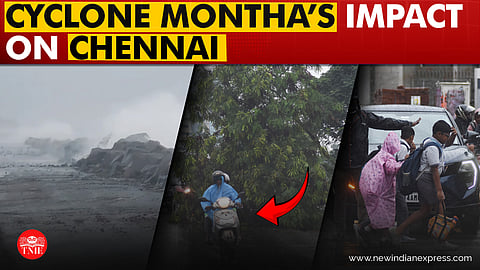 Deputy CM Udhayanidhi Stalin inspects status of complaints received online from the public, at GCC office.