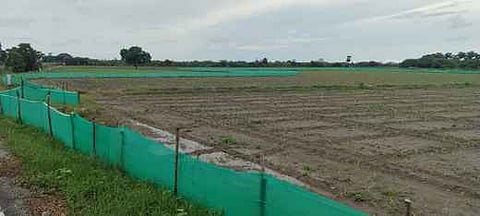 The agriculture fields bounded by shade nets at Mavilpatti to protect crops from pig menace in Thoothukudi district.